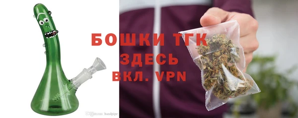 хмурый Богородицк