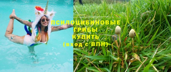 ECSTASY Бугульма