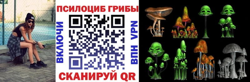 Галлюциногенные грибы прущие грибы  что такое   Болохово 